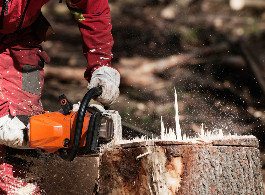 stump removal
