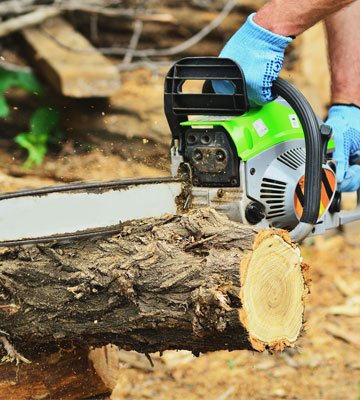 tree trimming service