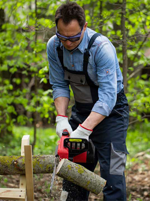 tree stump removal cost